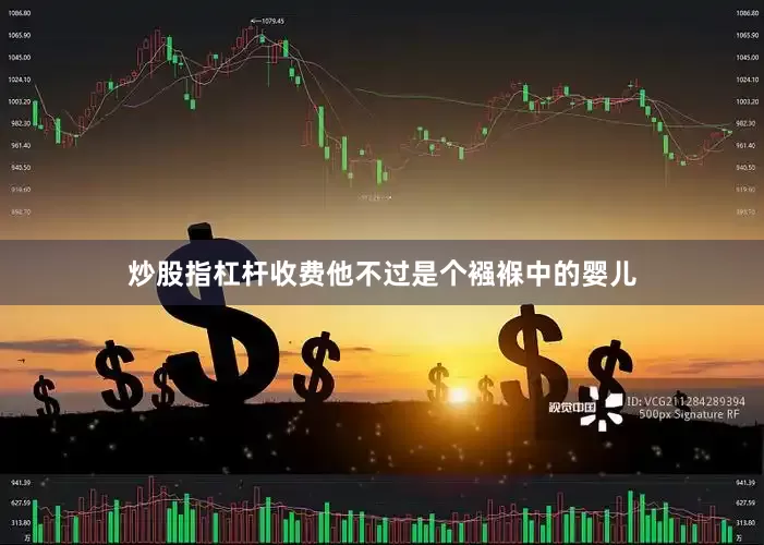 炒股指杠杆收费他不过是个襁褓中的婴儿
